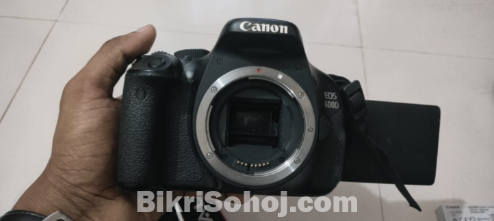 Camera600d+50mm prime lens